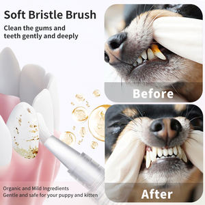 OEM 3PCS 15ml 애완 동물 숨 신선한 치아 청소 펜 원 클릭 수술 치석 제거 잇몸을 위한 안전 부드러운 젤 치과 치료 - Product Image 5