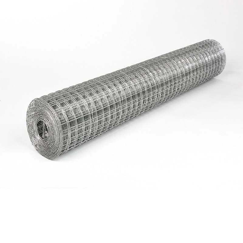 Hot Selling Galvanized Welded Wire Mesh