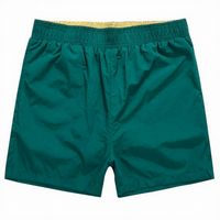 Shorts de sport pour hommes avec logo brodé, shorts de surf, shorts de course, pantalons de plage pour hommes