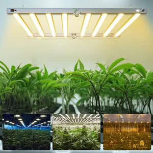 Vendita calda europea a LED per coltivare la luce più ampia di potenza 200W-1000W serra agricoltura verticale luci