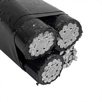 ACC ACSR Aluminium-Elektrokabel Verstärkter Blankleiter PE-Konstruktion Niederspannung 0,6/1 KV Kabel Tai Tong GB/T12706