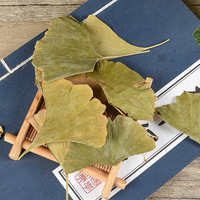 Direkt vom Hersteller Getrocknete Ginkgo-Blätter 1kg Ohne Schwefelbehandlung, Rein Weiße Fruchtblätter Neue Ware, Geringe Mindestbestellmenge & OEM-Unterstützung