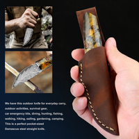 Couteau de chasse en acier Damas de collection, design unique, mini, portable, universel, pour cuisine, fruits et chef, avec étui, idéal comme cadeau