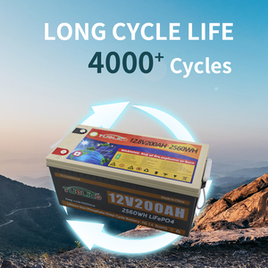 Camping Car Motorhome <b>Battery</b> for Deep Cycle 12V <b>24V</b> Pack 12.8V 200ah 100ah - Product Image 4