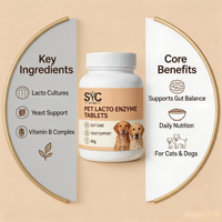 Comprimés enzymatiques d'acides lactiques SYC pour animaux de compagnie, 40g, soutien digestif intestinal avec vitamine B et levure pour chats et chiens, vente en gros, OEM