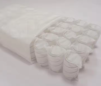 Taie d'oreiller personnalisée en microfibre avec mini ressorts ensachés, soutien et confort sains pour un sommeil réparateur, pressée sous vide, Foshan
