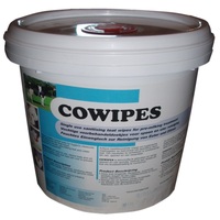 Lingettes humides de voyage personnalisées OEM&ODM, lingettes humides jetables en conserve, mini lingettes humides portables