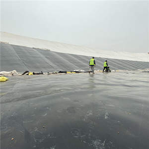 <span class=keywords><strong>Película</strong></span> Especial para Proyectos Mineros, Geomembrana de HDPE de 0.2-0.3 mm de Espesor, Revestimiento para Estanques, Diseño Moderno, Dura 20 Años - Product Image 4