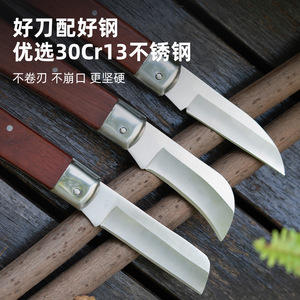 Cuchillo de injerto de acero inoxidable Airi Shield con mango de madera y filo recto, herramienta de jardinería - Product Image 3