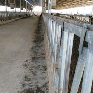 Valla de ganado galvanizada de doble apertura automática Condición nueva y usada Uso en granja con diseño de llave de cabeza de plástico y acero - Product Image 6