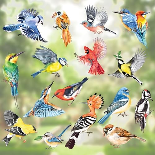 Birds