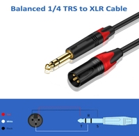 Câble audio mâle TRS vers XLR double canal 6.35MM plaqué or pour microphone haut-parleur studio d'enregistrement et mélangeur