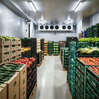 Chambre froide commerciale préfabriquée avec panneaux sandwich et système de dégivrage automatique pour le stockage de viande, produits laitiers et légumes frais