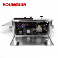YOUNGSUN Machine horizontale de scellage à chaud de sacs en film plastique Machine de scellage à bande continue Scellant de sacs en plastique