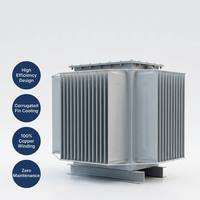 Transformateur de distribution d'énergie à faible perte et haute efficacité Wanbo-186, unité fiable sans entretien pour les postes de transformation industriels