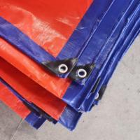 Lona Impermeable de Poliéster PE Fabricada en China, Lona para Cubrir Cerezas, Lona de Gran Tamaño para Refugio, Chile