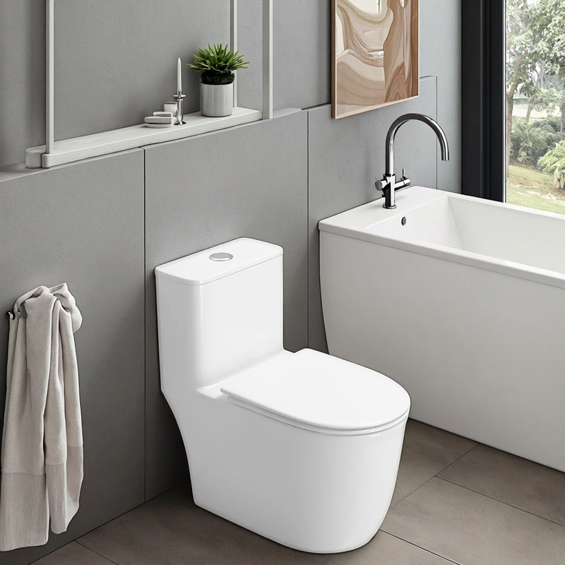 Modern Child Friendly Dual Flush Ceramic