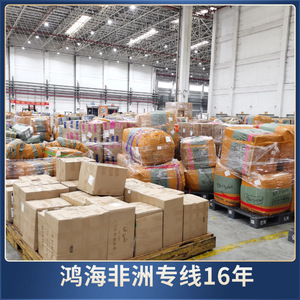 Logística de Hon Hai en África, Transporte Marítimo y Aéreo de Carga, Rutas Directas para África - Product Image 4