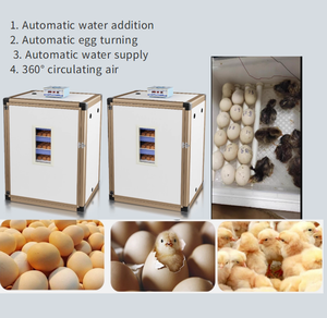 Incubateur automatique électrique à retournement d'œufs 160/240/320 pour usage domestique et agricole, boîte d'<span class=keywords><strong>éclosion</strong></span> et de culture - Product Image 3