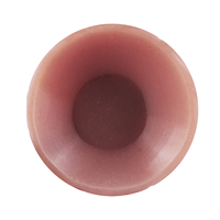 Nouvelle caméra endoscopique HD pour l'analyse de la texture cutanée, plug anal long et extensible, jouet sexuel, dilatateur anal pour hommes et femmes 18+