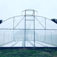 Serre tunnel à simple travée pour la ventilation naturelle agricole, avec ventilation supérieure, pour usage tropical
