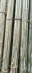 Soportes Ecológicos para Plantas, Estacas de Bambú Natural, Cañas de Bambú para Viñedos y Agricultura, Soporte para Tomates y Flores - Product Image 3