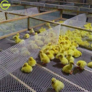 Nouveau <span class=keywords><strong>prix</strong></span> des filets <span class=keywords><strong>de</strong></span> volaille en plastique pour l'élevage - Product Image 5