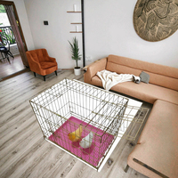 Cage pour animaux de compagnie pliable en fer galvanisé blanc populaire caisse en fil métallique robuste et durable avec plateau en plastique amovible pour petits chiens