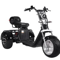 Vente en gros de tricycles électriques pour adultes DomeRide, batterie au lithium 60V, moteur sans balais 2000W, 300 kg, pliable, étanche, commande numérique