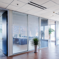 Modern Glass Partition Wall Soundproof Room Divider with Aluminum Alloy Frame for School Hospital Home Office