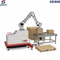 Paletizador de Cajas Móvil con Ruedas, Ahorro de Energía, Capacidad de Carga de 20 kg, Motor Servo, 1200x1000 mm