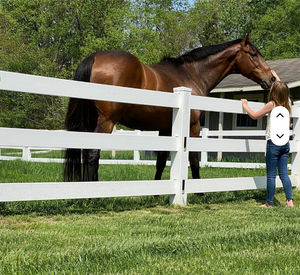 <span class=keywords><strong>3</strong></span> Rail Horse Farm Valla Paneles Valla PVC Plástico Vinilo Horse Paddock Valla - Product Image 2