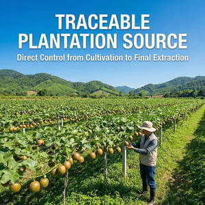 Mogroside V <span class=keywords><strong>Naturel</strong></span> 20%/30%/50%/80% – <span class=keywords><strong>Substitut</strong></span> <span class=keywords><strong>de</strong></span> Sucre Zéro Calorie en Poudre, Soluble dans l'Eau, Qualité Alimentaire, 1kg – Approvisionnement Direct Usine - Product Image 5