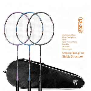 Ensemble de raquettes de badminton et de volants, raquettes en fibre de carbone graphite avec volants en nylon, ensemble léger pour la famille, le jardin - Product Image 2