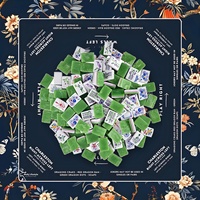 Jeu de Mahjong Américain de Luxe en Bois, 160 Tuiles en Acrylique Effet Marbre, Tapis de Jeu Antidérapant Bleu Vert Motif Botanique, Prêt pour 4 Joueurs, Idéal pour les Clubs