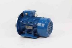 Motor Eléctrico Asíncrono Trifásico de 380V 1500rpm 2/4/6/8 Polos 1HP 2HP 3HP 4HP 5HP con Cable de Cobre Yc Yl Y Y2 Ye2 Y3 Ye3 - Product Image 5