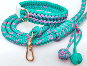 Conjunto de entrenamiento de perro con hebilla de Metal personalizado de lujo patrón sólido poliéster nailon impermeable elegante collar para mascotas Correa separable moderna - Product Image 2