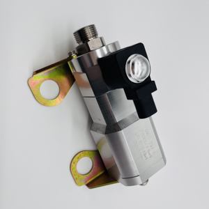 Regulador reductor de presión de <span class=keywords><strong>gas</strong></span> <span class=keywords><strong>natural</strong></span> para vehículo LNG eléctrico DC24V, 2 unidades - Product Image 2