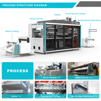 Machine automatique de thermoformage de gobelets en plastique, machine à fabriquer des gobelets à crème glacée, des gobelets à café, des gobelets jetables