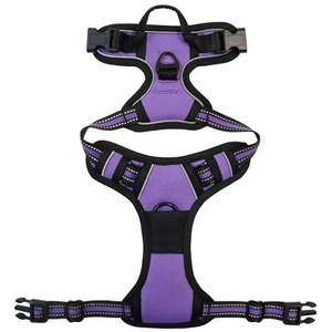 Laisse pour chien de luxe réglable en nylon rayé et tissu maille respirante, anti-traction, pour l'extérieur, personnalisée OEM par les fabricants, écologique - Product Image 6