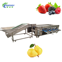 Shepody Pear Tomatensorteermachine, verbeterde efficiëntie, sorteermachine voor mango's en appels op maat, met CE-certificering