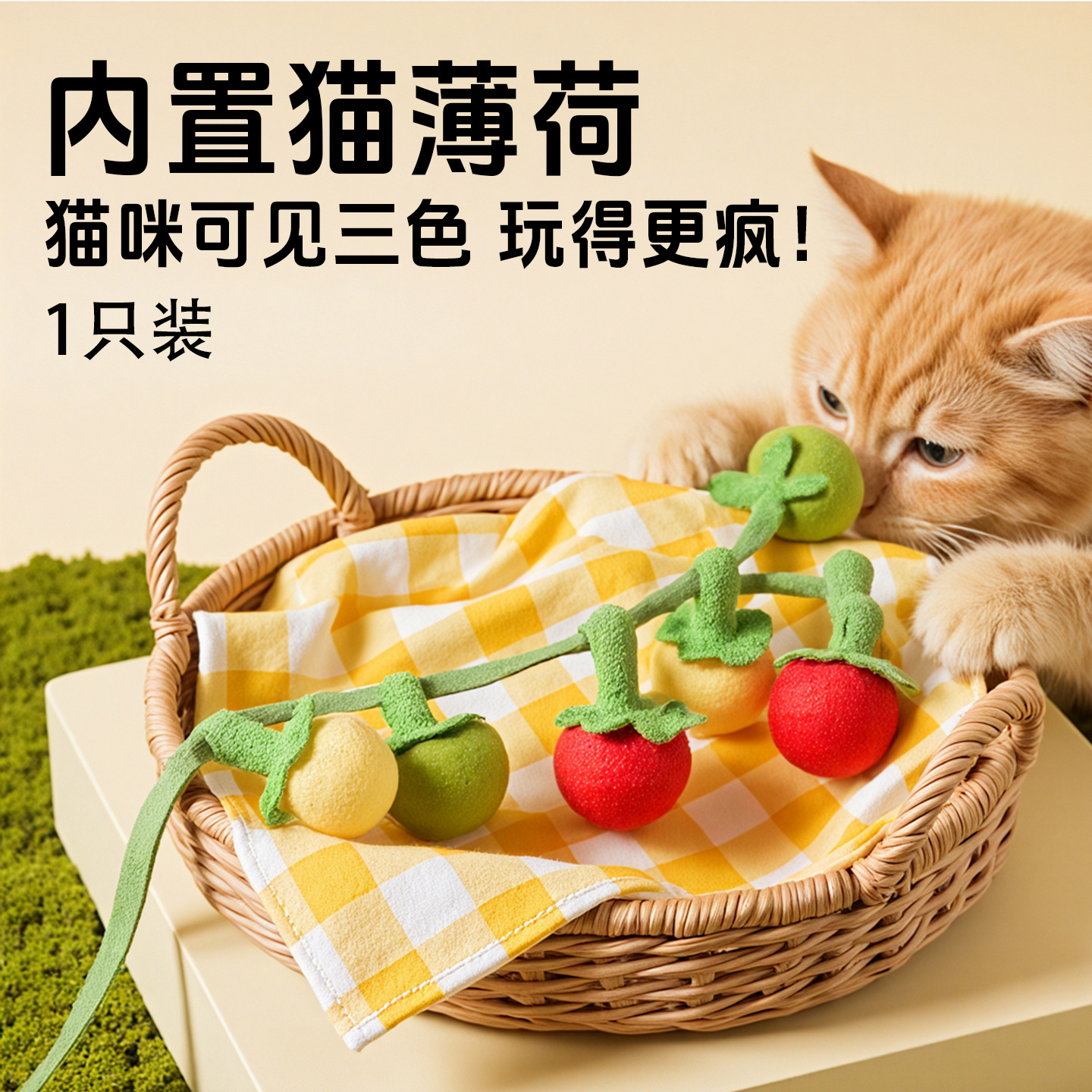Un bouquet de tomates cerises [avec herbe à chat intégrée]