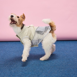 Gilet Estivo Leggero e Traspirante per Cani di Taglia Media, Impermeabile, Anti-Insetti e Anti-Sole, Ideale per l'Esercizio Fisico - Product Image 3