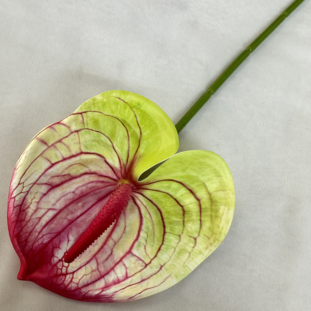 Giallo rosa