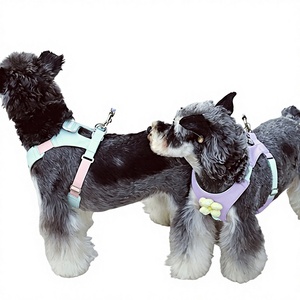 สายจูงสุนัขแบบหนึ่งต่อสอง Bororo รุ่น Dopamine Style ป้องกันการพันกัน น้ำหนักเบา สายรัดสำหรับใช้งานกลางแจ้ง - Product Image 1