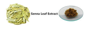 センナ葉エキス粉末センノサイドA/B10: 1工場ホットサプライ - Product Image 4