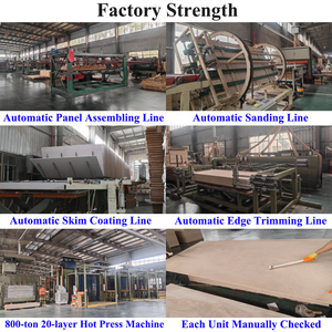 Contreplaqué marin ignifuge de classe 2, norme britannique BS476, pour bâtiments commerciaux - Product Image 4