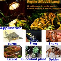 110V/220V E27 projecteur halogène 25W 50W 75W spectre complet UVA + UVB aluminium chaleur Reptile lampe pour ferme Promotion de la croissance des animaux de compagnie