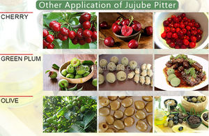 تصميم متطور المشمش الأساسية المزيل/آلة استخراج زيت الزيتون/الكرز/الشمع آلة إزالة البذور - Product Image 3