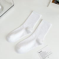 Chaussettes de sport tendance pour femmes, couleurs vives, style décontracté, vente en gros